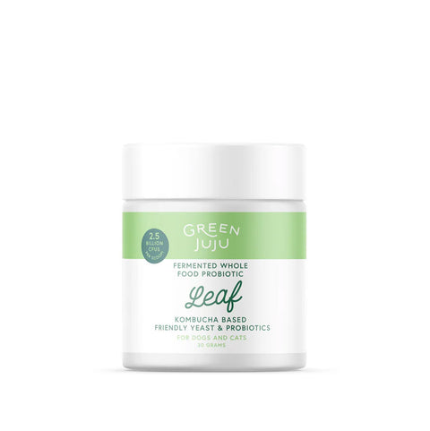 A container of Leaf - Fermented, Kombucha-Based Probiotic by Green Juju, with a white and green label, on a white background.