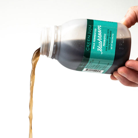 Wild Fermented Mushroom Probiotic