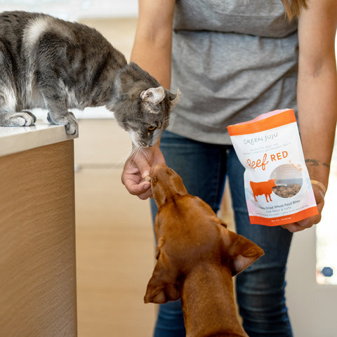 Freeze-Dried Whole Food Bites