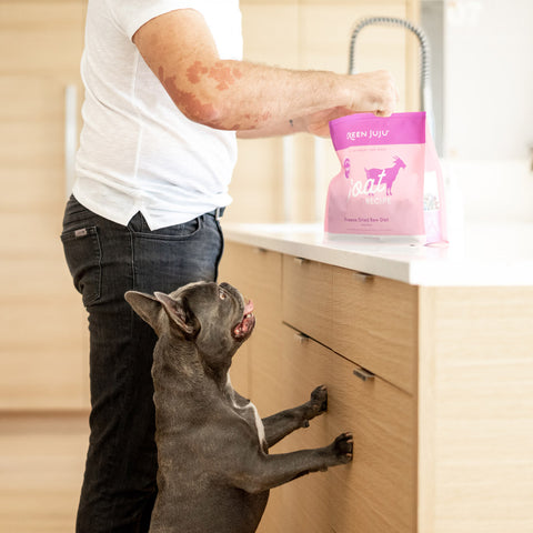 Goat Recipe - Freeze Dried Raw Diet