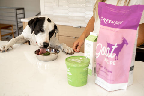 A Daily Ritual for Radiant Pets: How to Build a Better Bowl with Just 2 Green Juju Staples