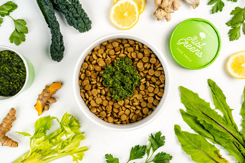 Why Feeding Fresh, Whole Foods Matters for Dogs and Cats