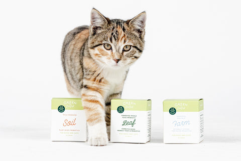 Nature’s Gut Instinct: Why Probiotics Belong in Every Pet’s Bowl