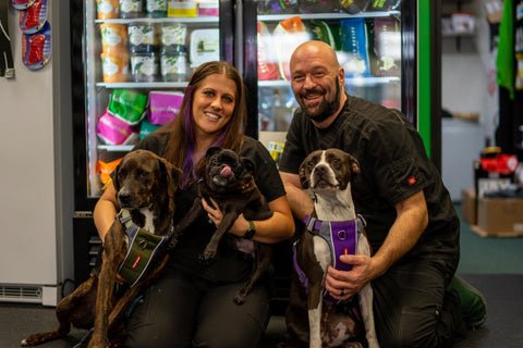 Fresh Food, Variety & More: How Krysta Feeds Her Dogs