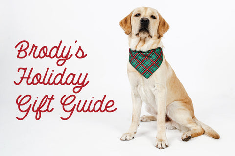 Brody’s Holiday Gift Guide: Fresh, Healthy Gifts for Dogs This Season