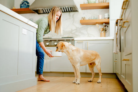 5 Ways to Add Fresh Foods to Your Dog’s Bowl