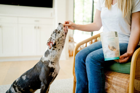 High-Value Dog Treats: High quality ingredients for high quality training rewards