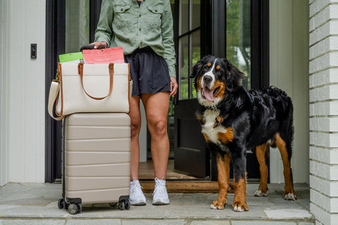 Traveling with Dogs This Summer: How to Keep Your Pet's Diet Consistent on the Go