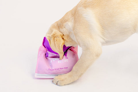 Complete and Balanced Raw Food for Dogs & Cats