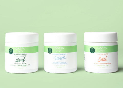 Fermented Pastes & Probiotics