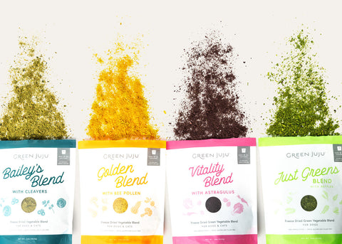 Frozen and Freeze Dried Vegetable Blends
