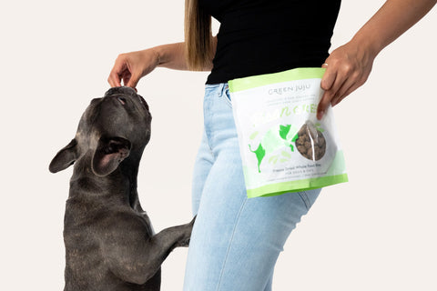 Freeze-Dried Raw Food, Treats & Toppers for Dogs & Cats