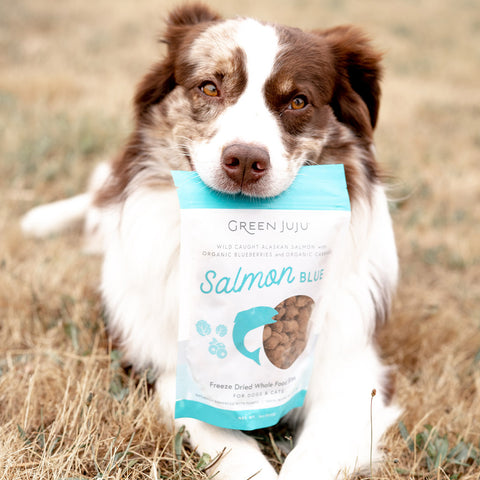 Salmon Blue Whole Food Bites