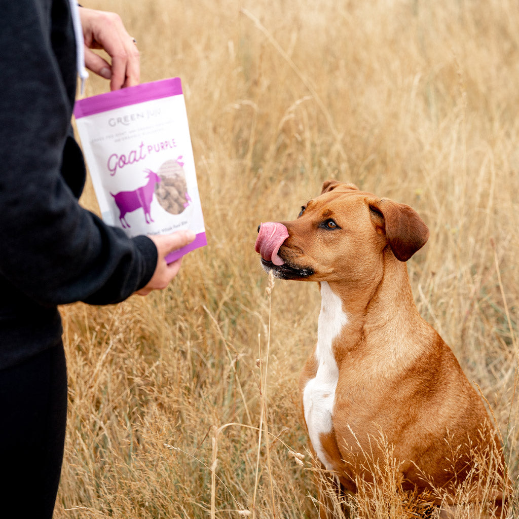 Goat Purple Whole Food Bites – Green Juju