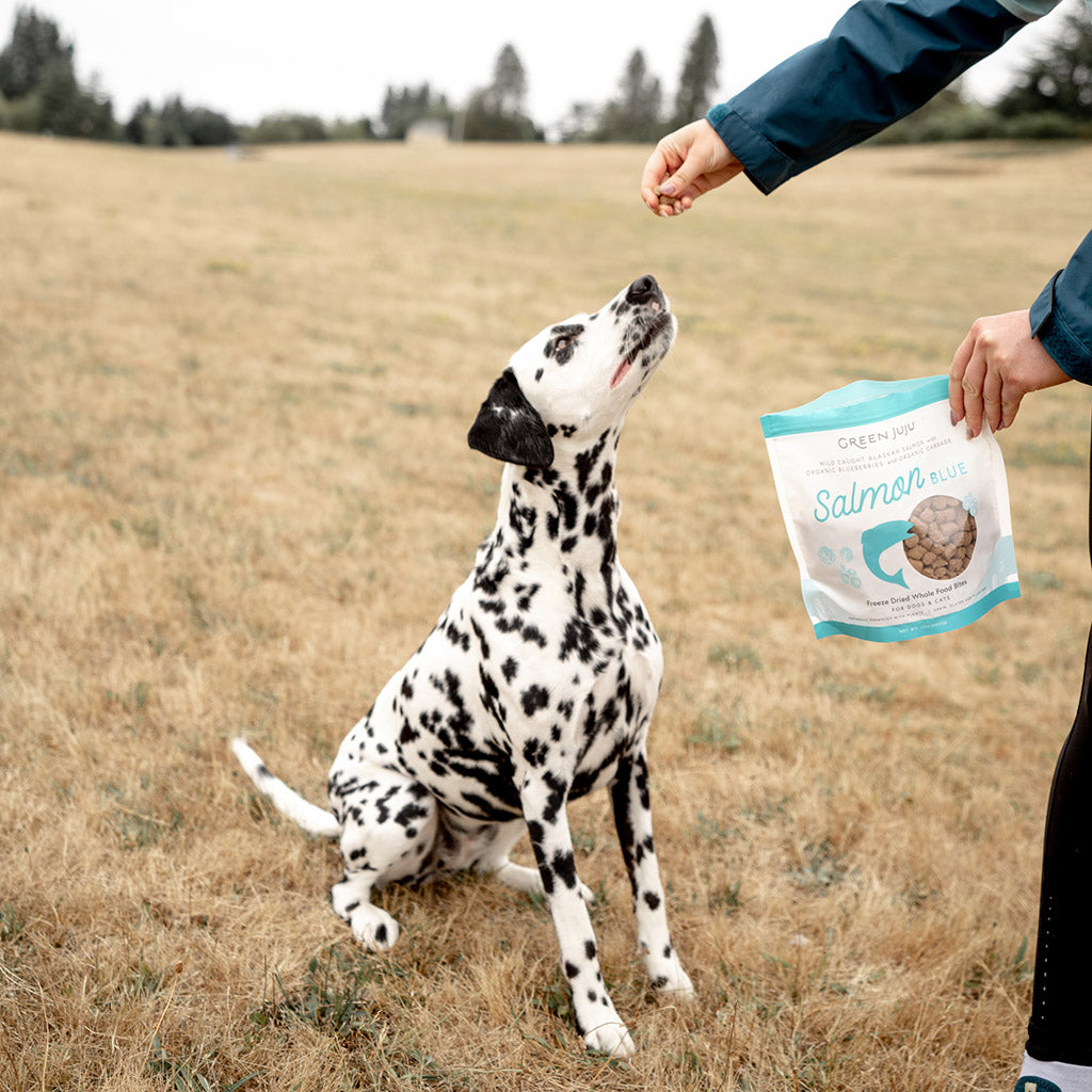 Salmon Blue Whole Food Bites – Green Juju