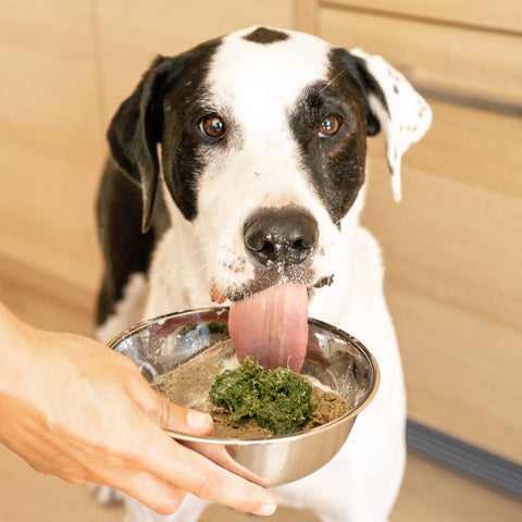Bailey’s Blend Frozen Vegetable Blend