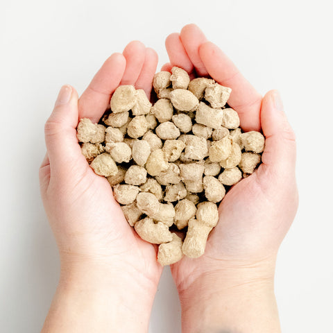 Freeze-Dried Raw