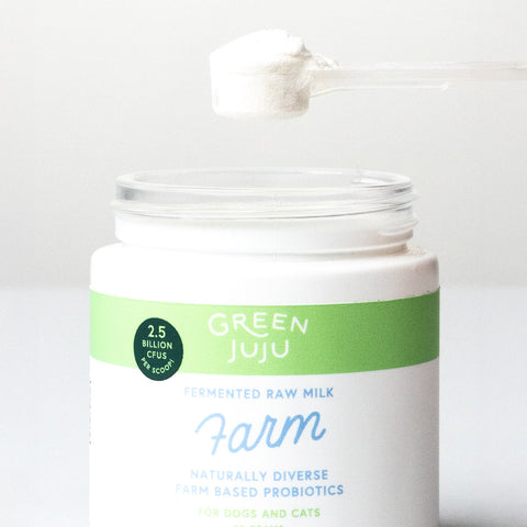 A scoop of Green Juju Farm fermented raw milk with a white background 