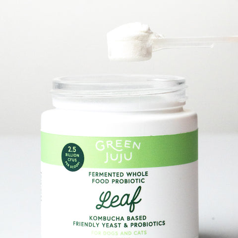 A scoop of  Leaf - Fermented, Kombucha-Based Probiotic by Green Juju