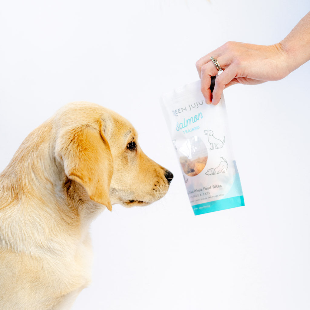 Salmon Trainers – Green Juju