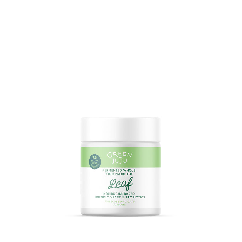 Leaf - Fermented, Kombucha-Based Probiotic