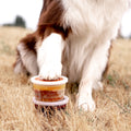 Dog pawing at a container of Lua's Golden Paste in a grassy field