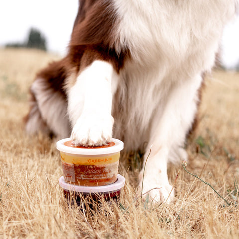 Dog pawing at a container of Lua's Golden Paste in a grassy field