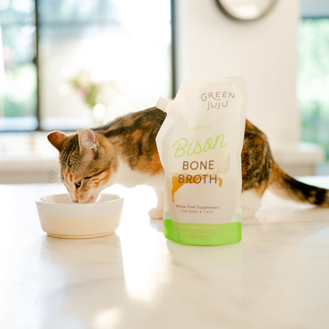 Bison Bone Broth