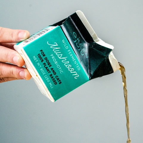 Wild Fermented Mushroom Probiotic