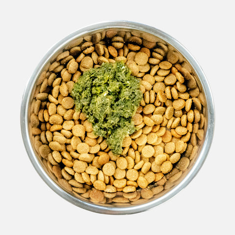 Mix into your pets bowl & watch your pet enjoy!